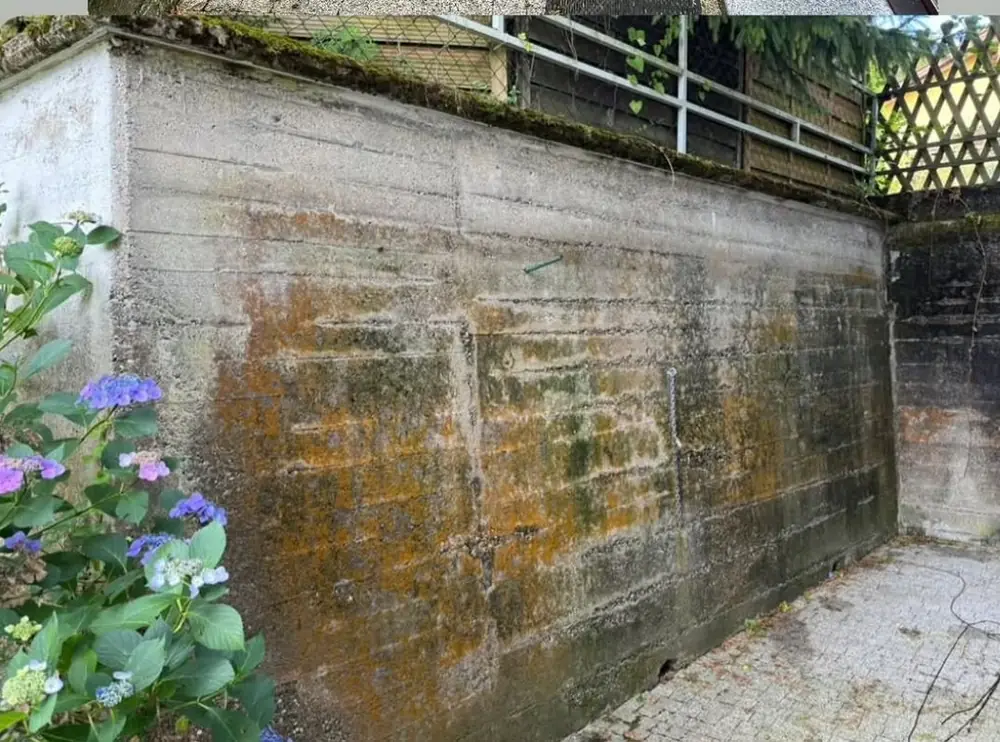 Vorher: lange Betonmauer mit orangen Flechten und Moos