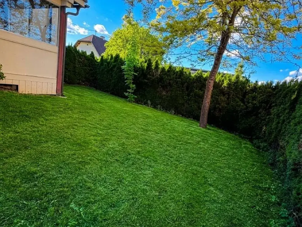 Nachher: derselbe Garten mit frisch gemähtem Rasen