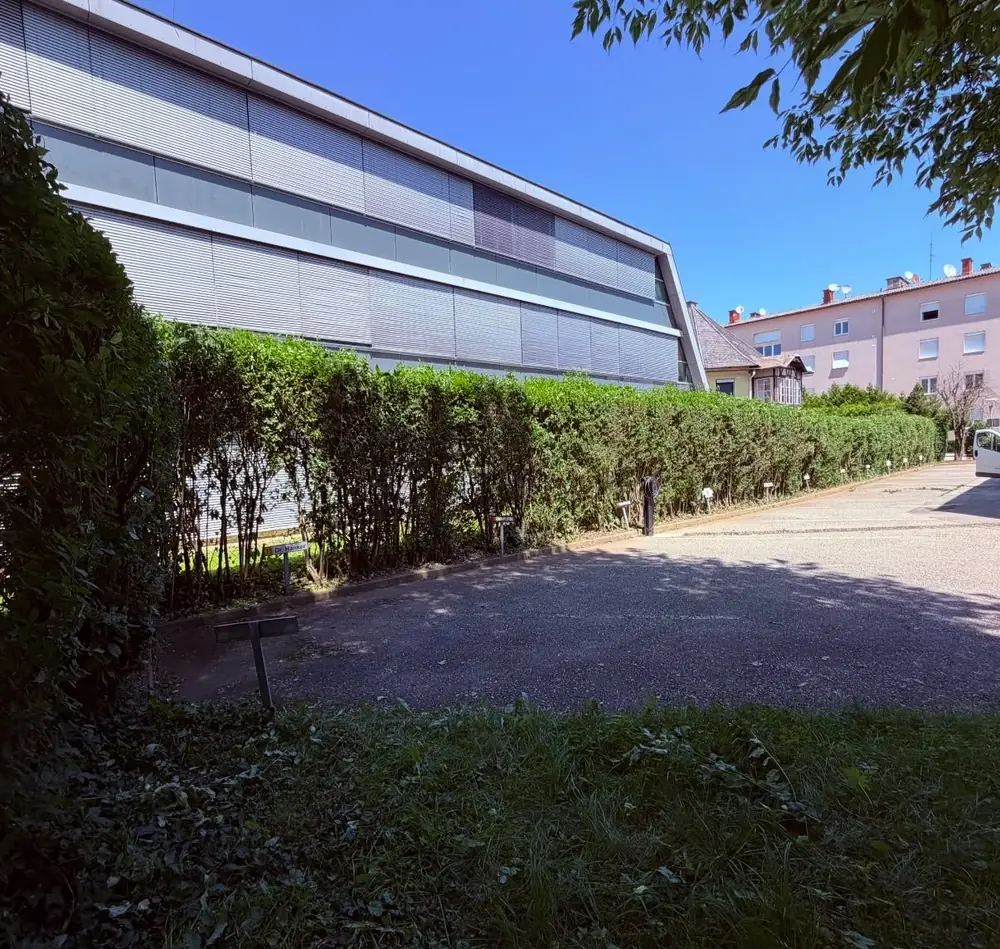 Nachher: dieselbe Hecke gerade geschnitten