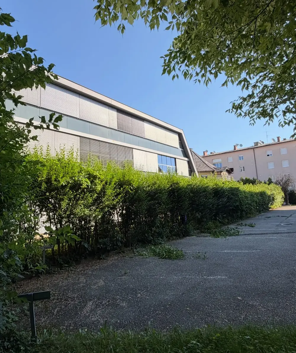 Vorher: hohe, ungleichmäßig ausgewachsene Hecke am Parkplatz